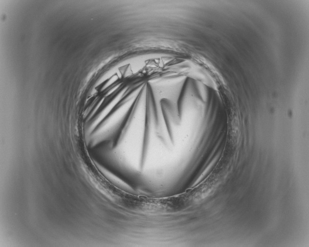 X0000085210399200704091911