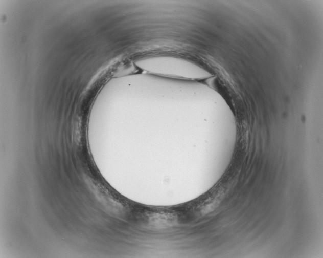 X0000085210400200704091911