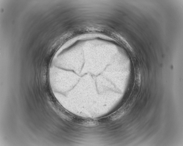 X0000085210402200704091911