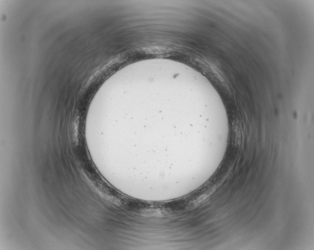 X0000085210404200704091911