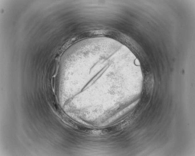 X0000085210406200704091911