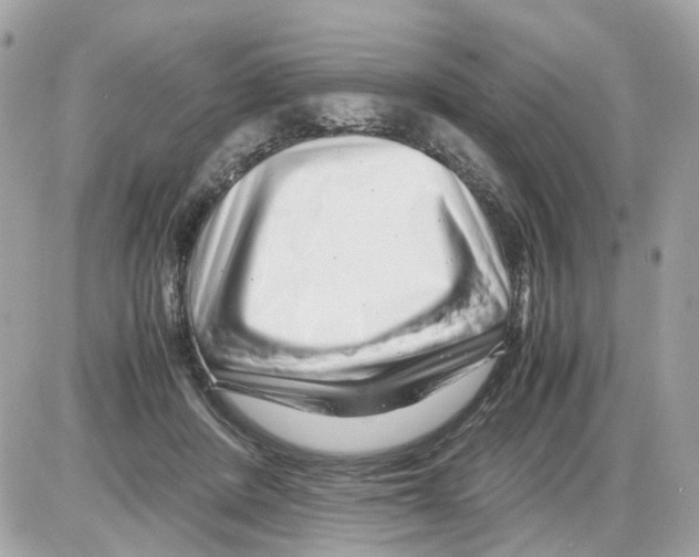 X0000085210408200704091911