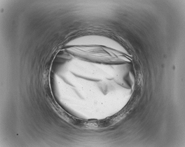 X0000085210409200704091911