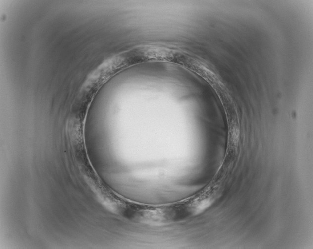 X0000085210411200704091911