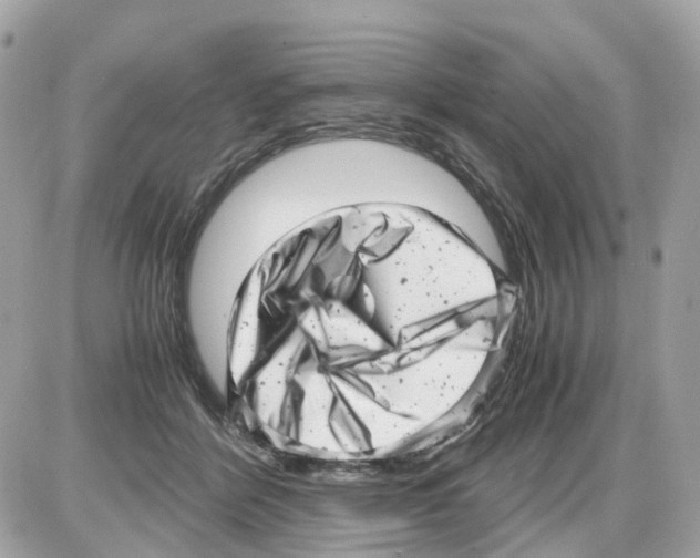 X0000085210412200704091911