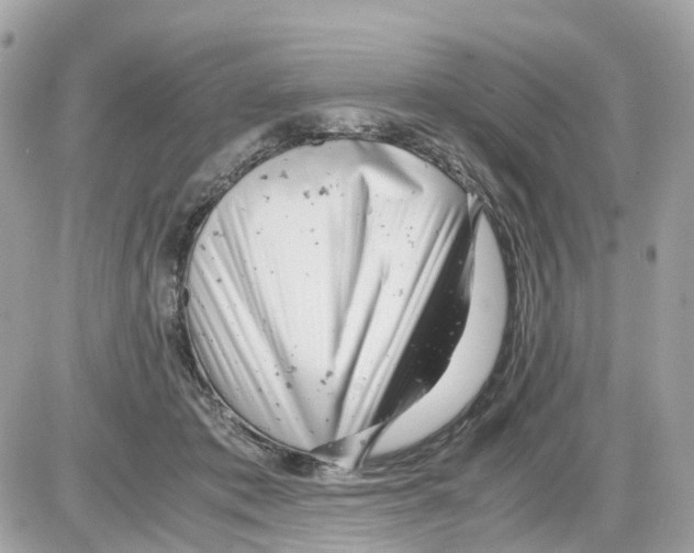 X0000085210413200704091911