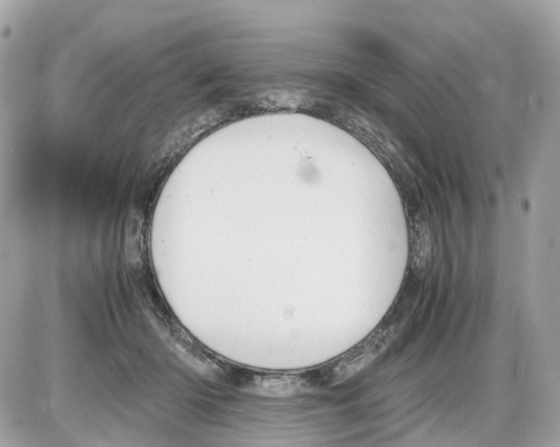 X0000085210414200704091911