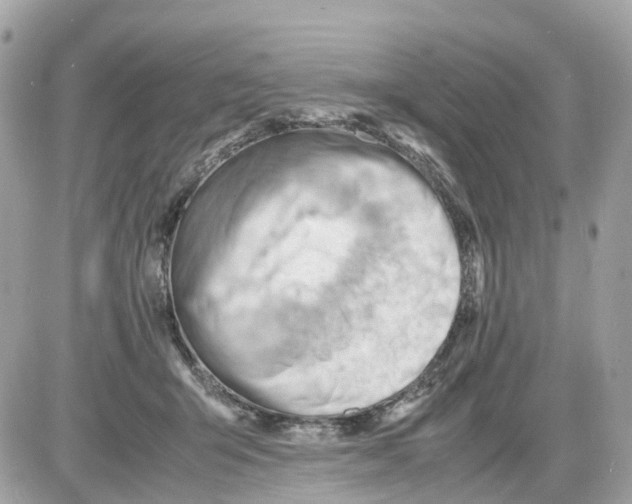 X0000085210415200704091911