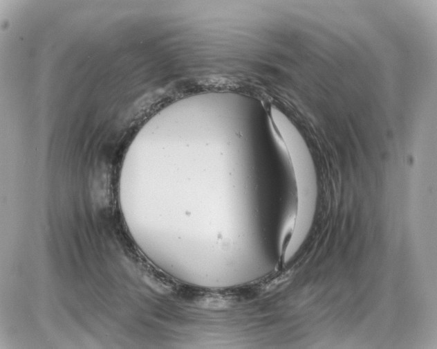 X0000085210416200704091911