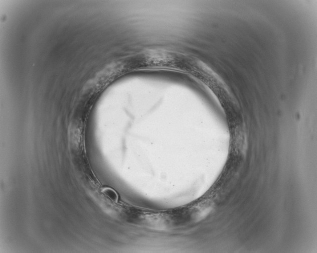 X0000085210417200704091911