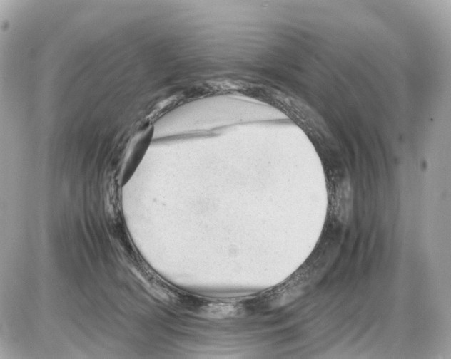 X0000085210418200704091911