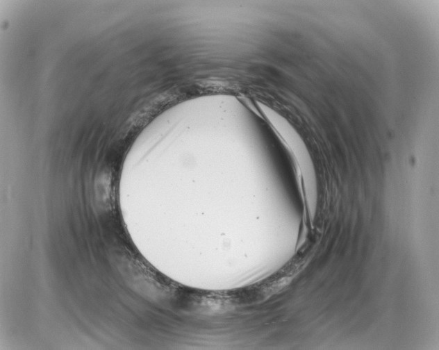 X0000085210420200704091911