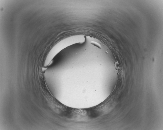 X0000085210421200704091911