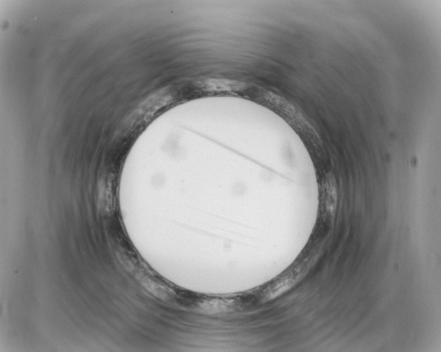 X0000085210422200704091911