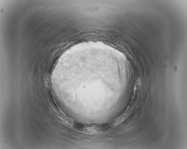 X0000085210423200704091911