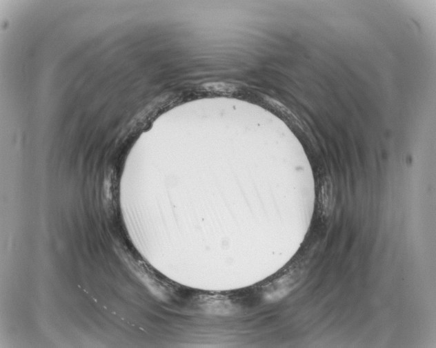 X0000085210424200704091911