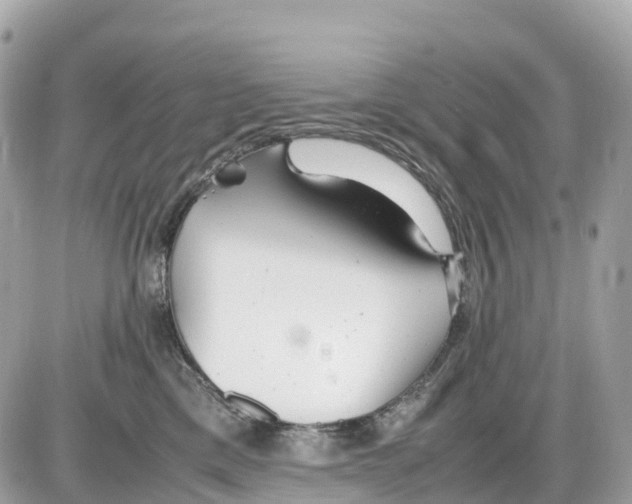 X0000085210425200704091911