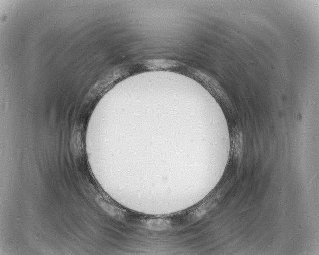 X0000085210426200704091911