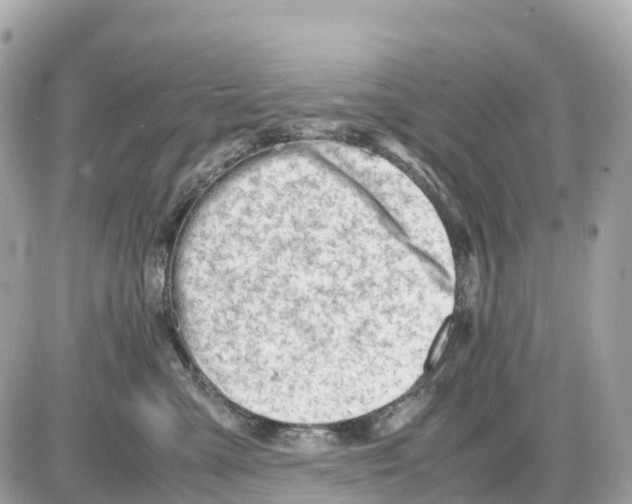 X0000085210427200704091911