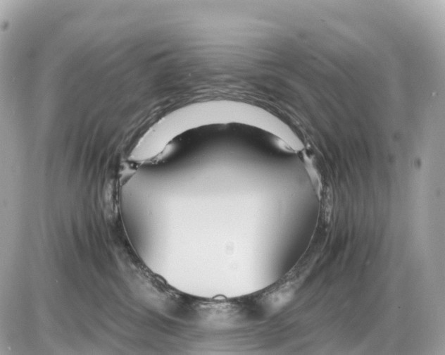 X0000085210428200704091911