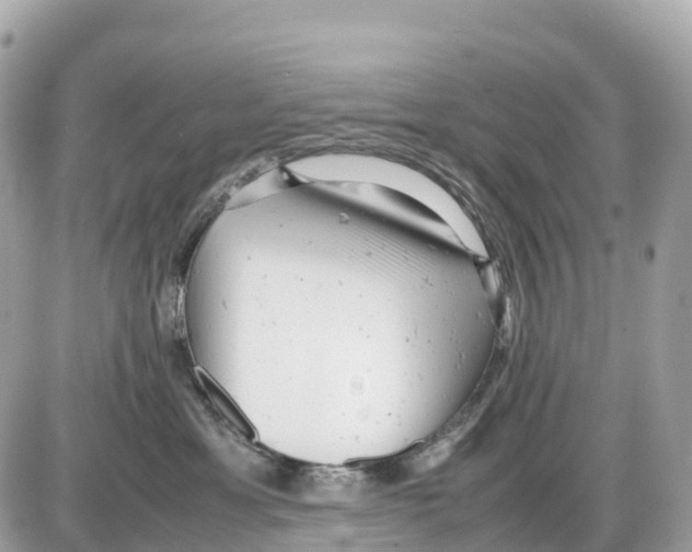 X0000085210429200704091911