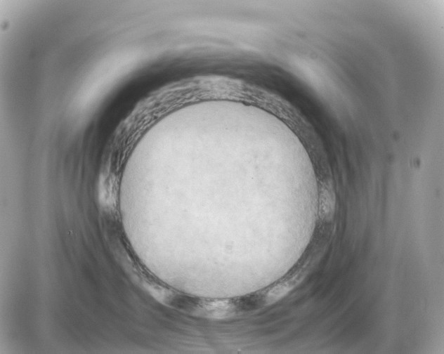 X0000085210431200704091911