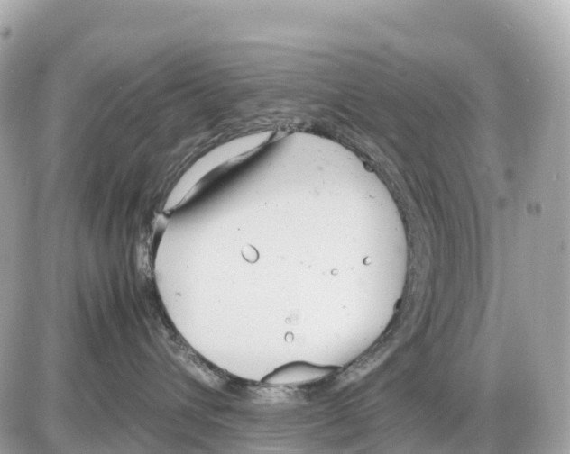 X0000085210432200704091911