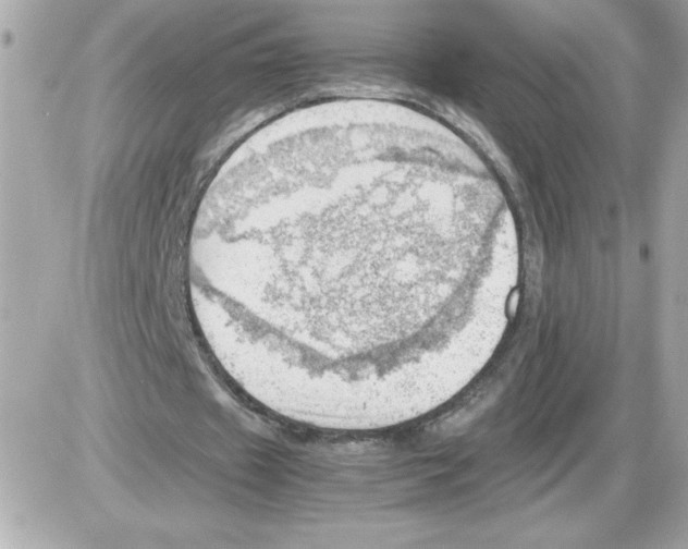 X0000085210433200704091910