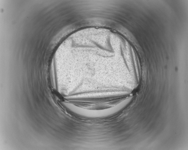 X0000085210434200704091910