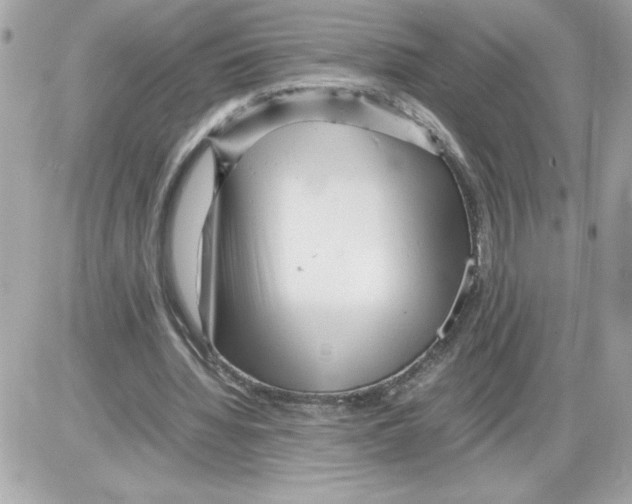 X0000085210436200704091910