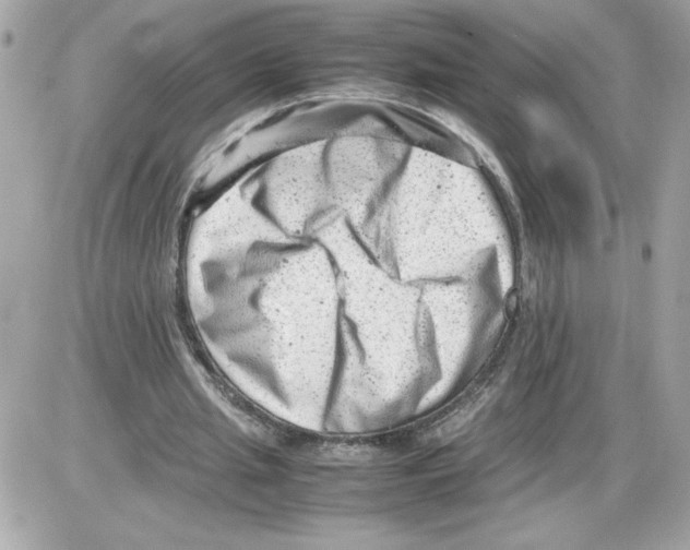 X0000085210437200704091910