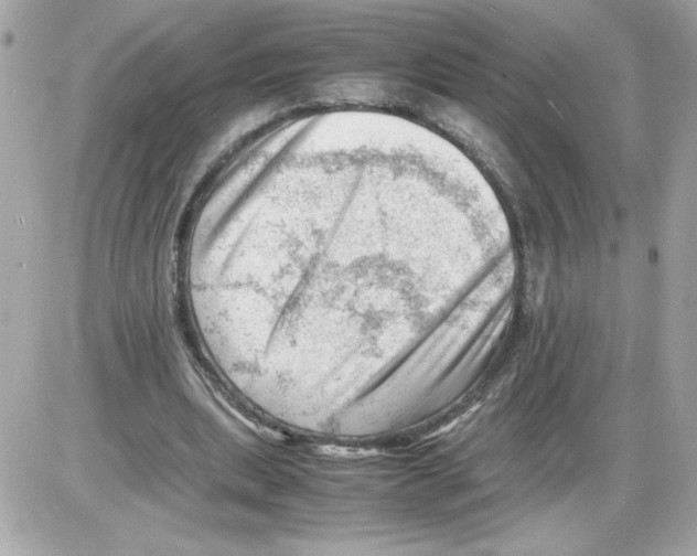 X0000085210439200704091910