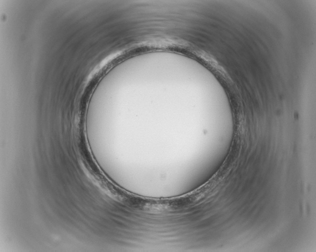 X0000085210440200704091910