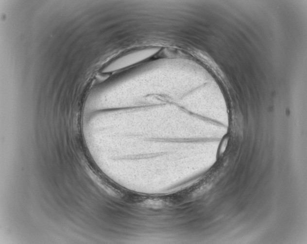 X0000085210441200704091910