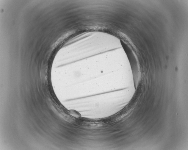 X0000085210443200704091910