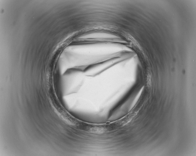 X0000085210444200704091910