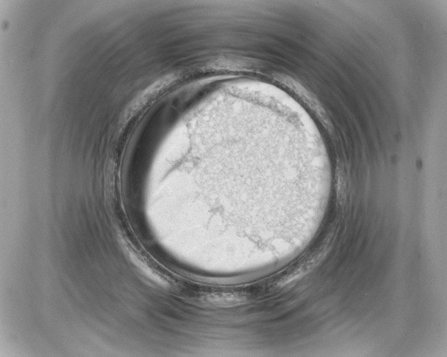 X0000085210445200704091910