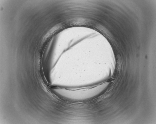 X0000085210446200704091910