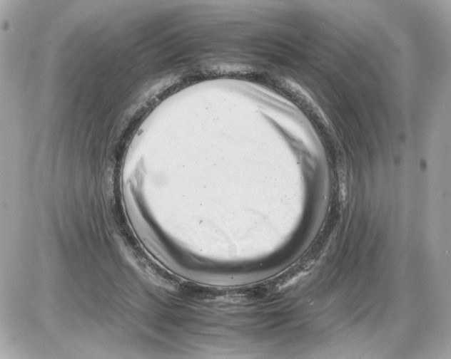 X0000085210447200704091910