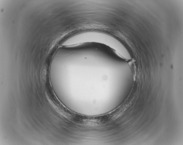 X0000085210448200704091910