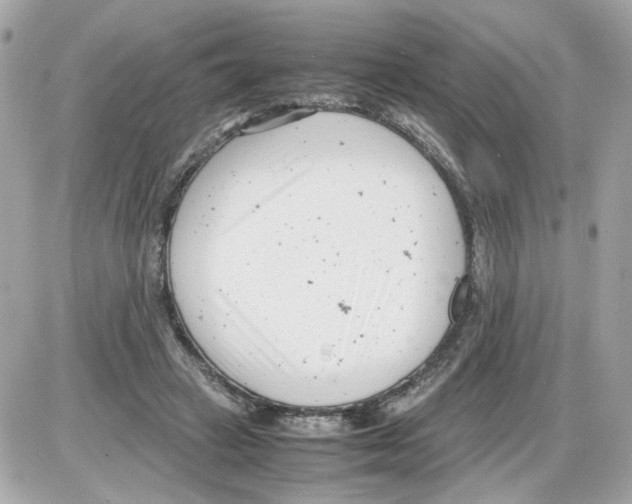 X0000085210449200704091910