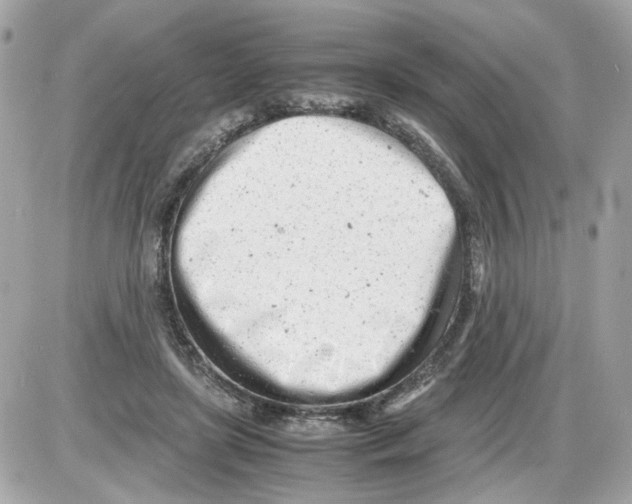 X0000085210451200704091910