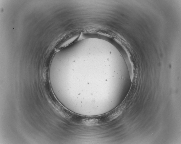 X0000085210452200704091910