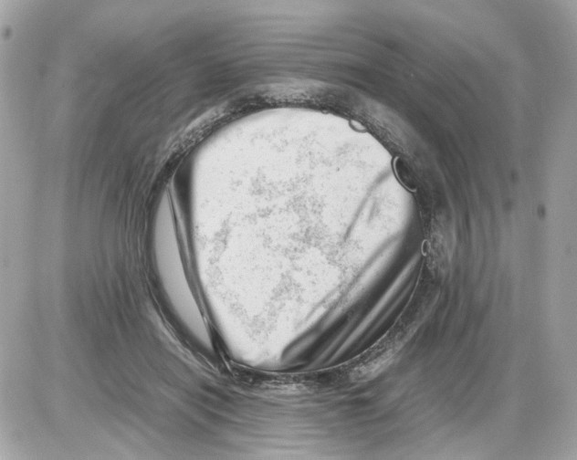 X0000085210454200704091910