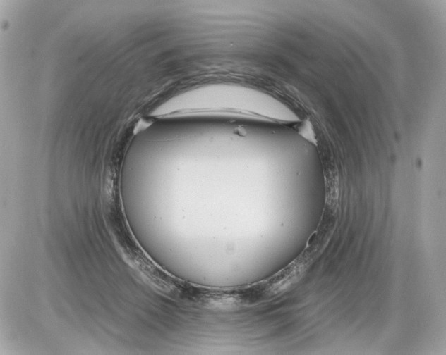 X0000085210456200704091910