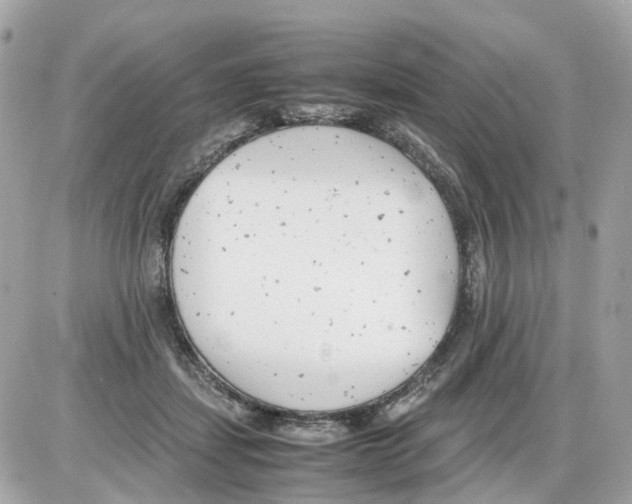 X0000085210459200704091911