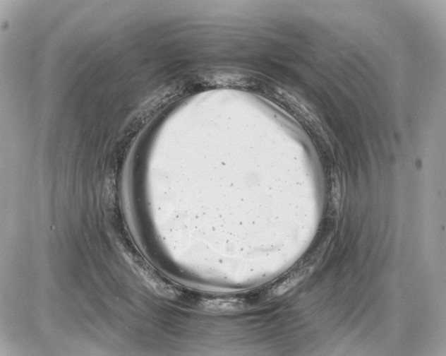 X0000085210461200704091911