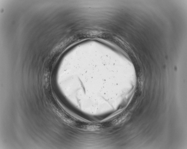 X0000085210462200704091911