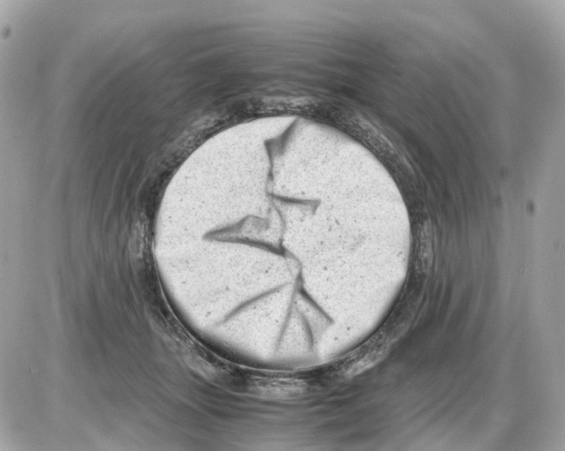 X0000085210463200704091911