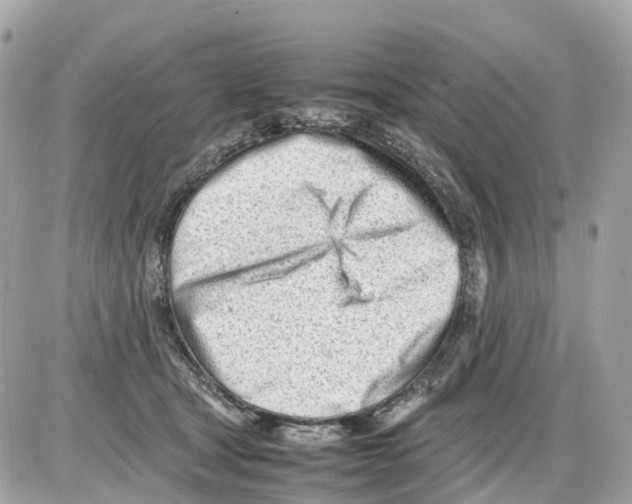 X0000085210465200704091911